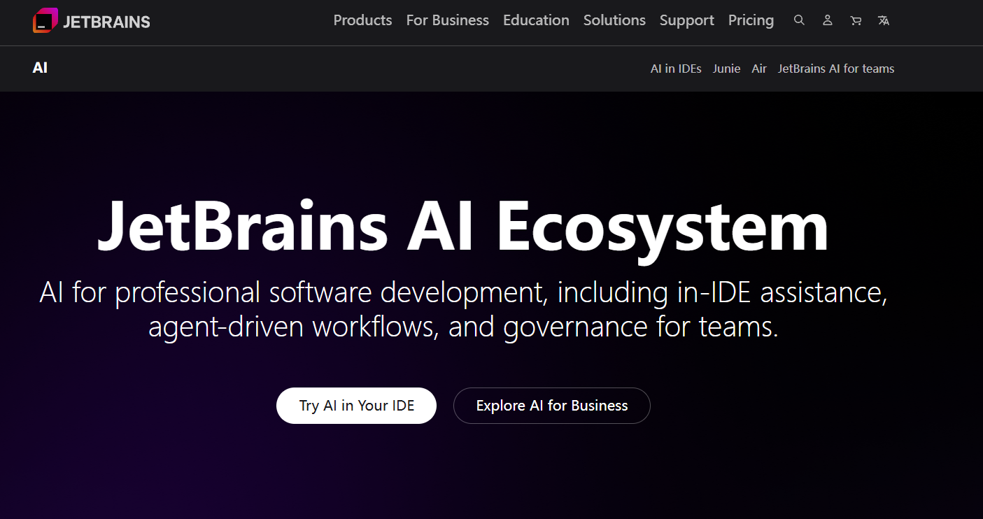 JetBrains AI