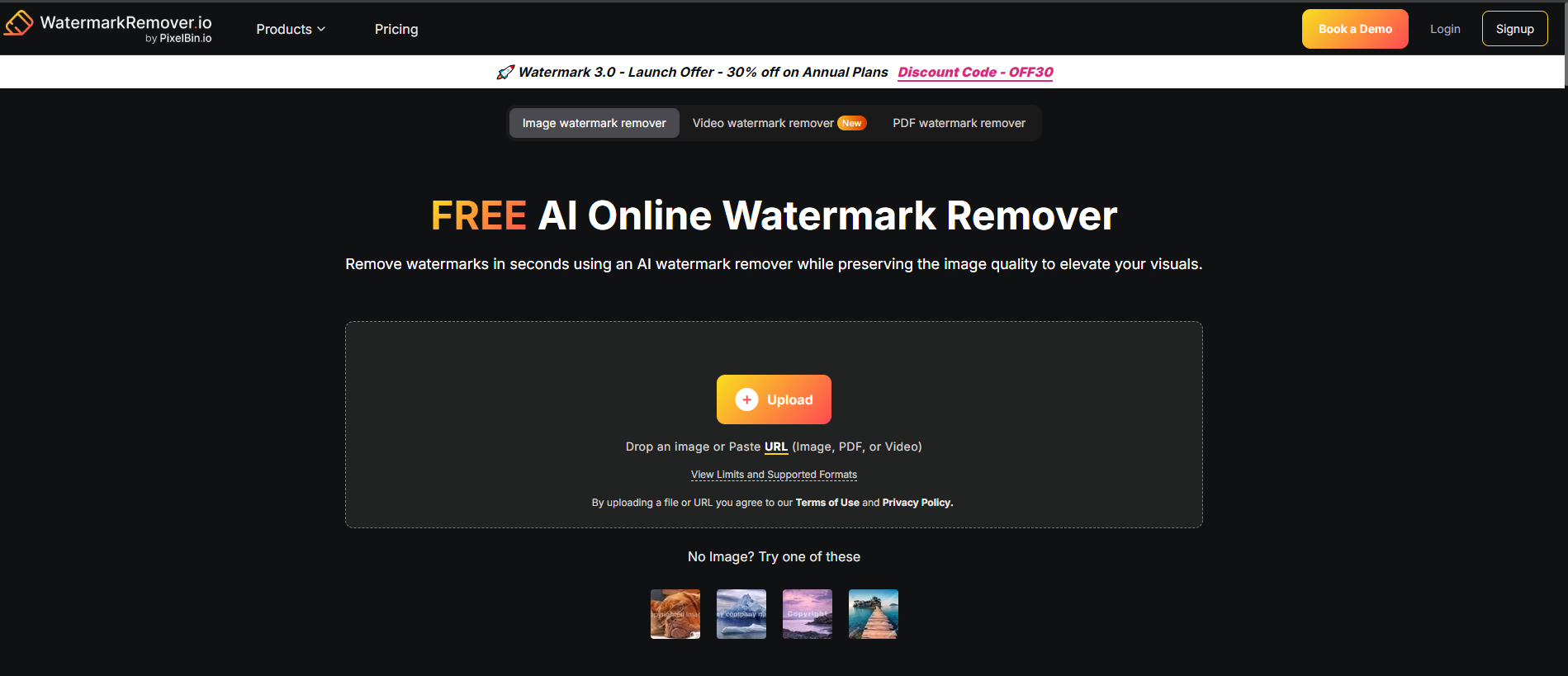WatermarkRemover